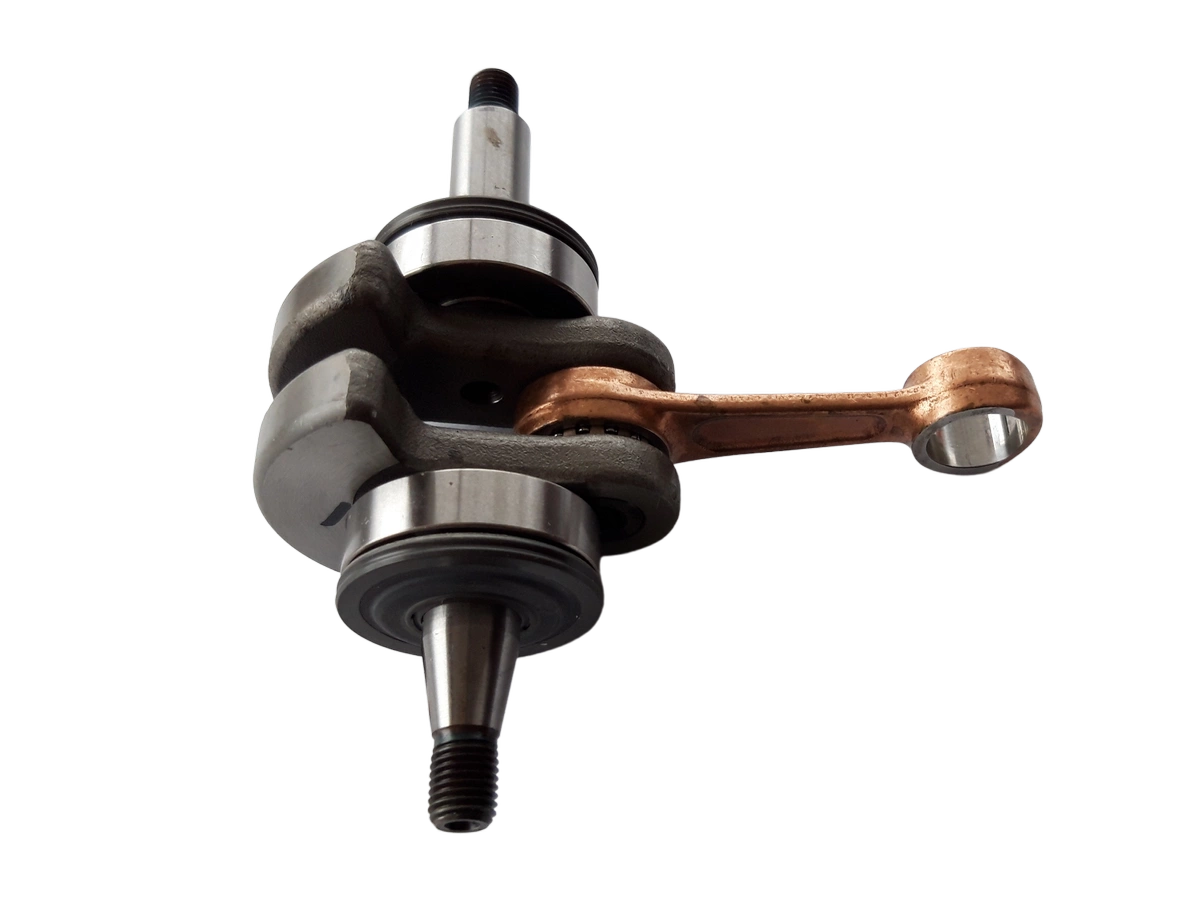 e-kosiarki20261017204107850508