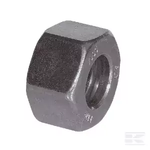 jod-pol20261017223317875459