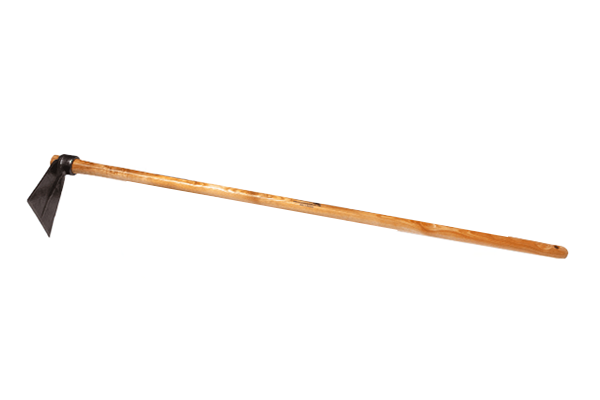 sklep.lasogrod20261017174635812088