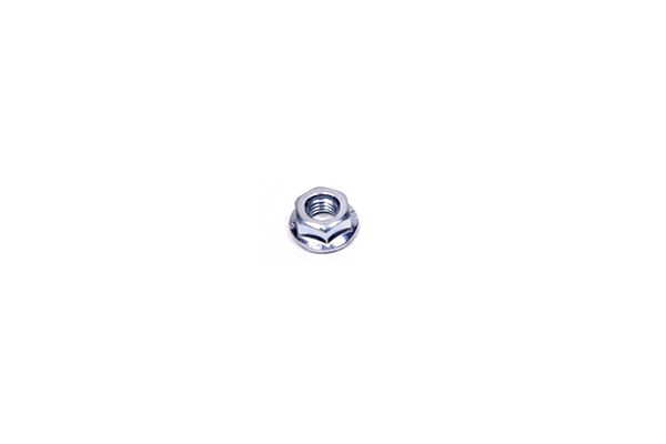 sklep.lasogrod20261017193711836494