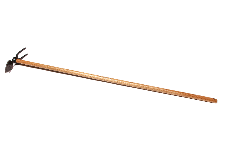 sklep.lasogrod20261017235939894380