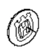 sklep.lasogrod20261018032559936165